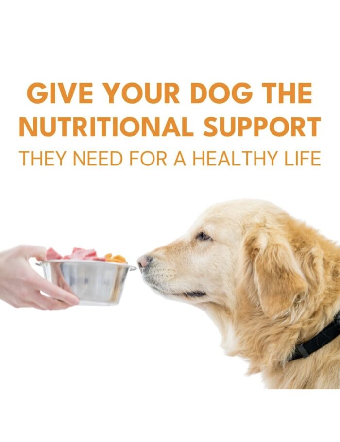DOG FULL KIT MULTIVITAMIN & SHAMPOO KIT